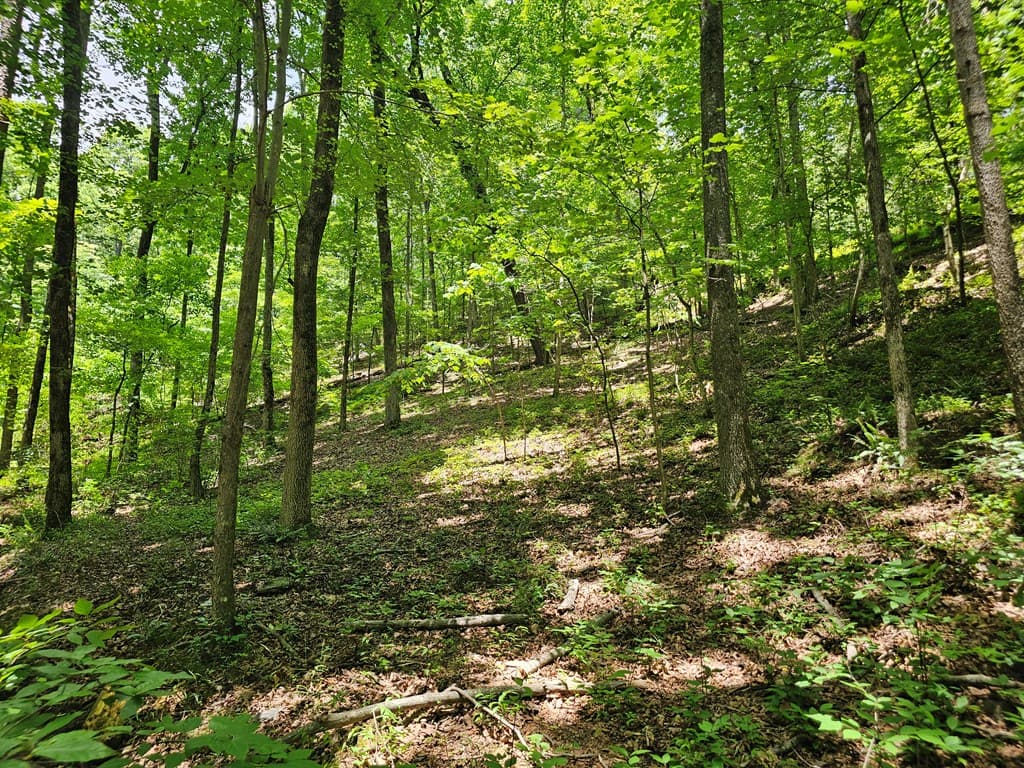 549 NE Myriad Way, Ranger GA 30734 - Photo