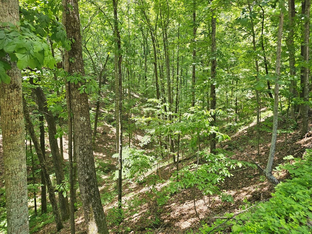 549 NE Myriad Way, Ranger GA 30734 - Photo
