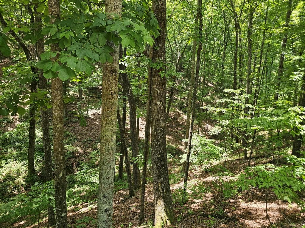 549 NE Myriad Way, Ranger GA 30734 - Primary photo