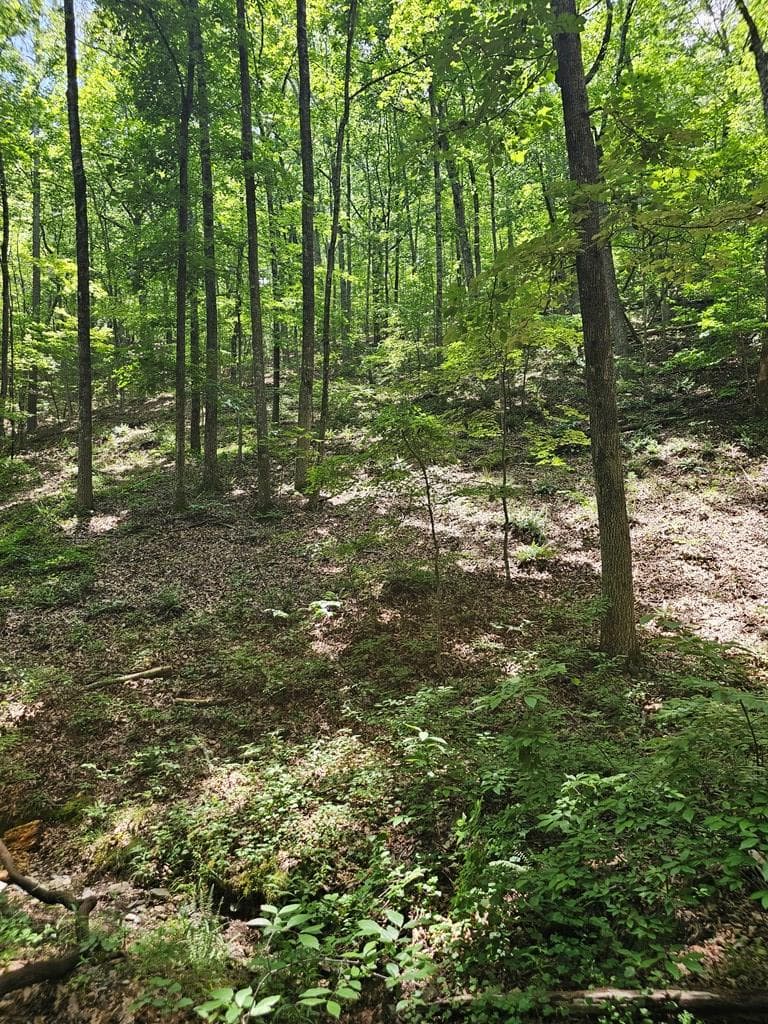 549 NE Myriad Way, Ranger GA 30734 - Photo