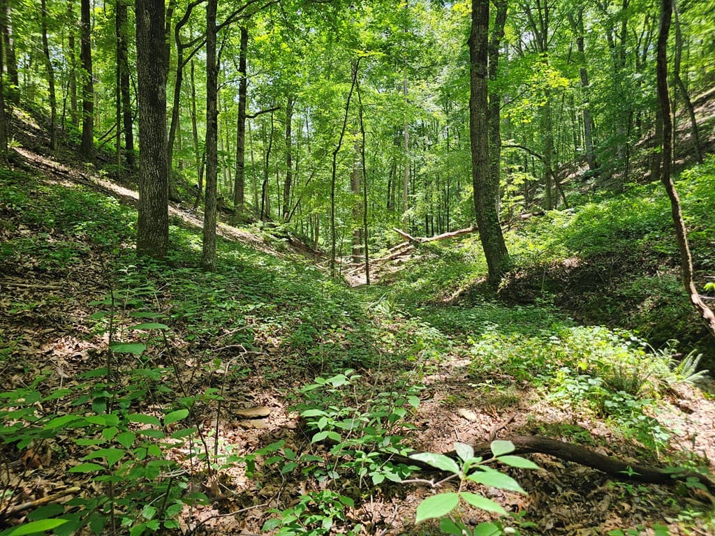 549 NE Myriad Way, Ranger GA 30734 - Photo