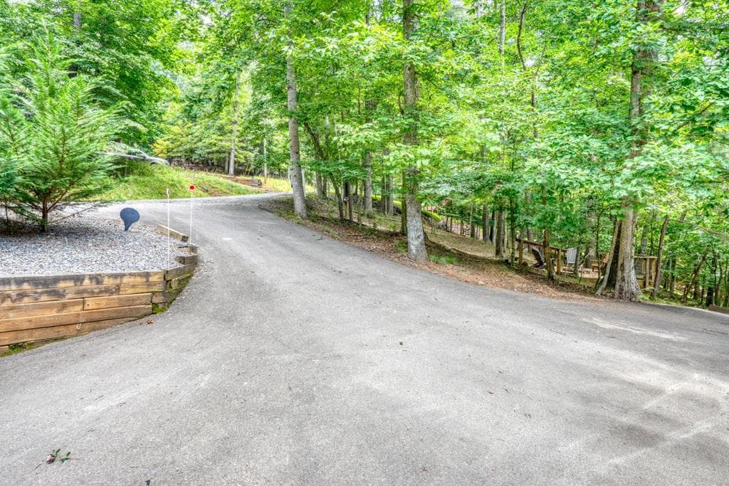 75 Carol Lane, Ellijay GA 30540 - Photo
