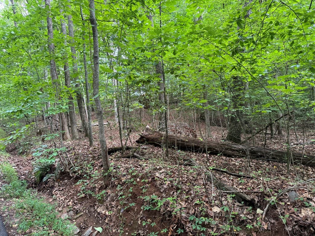 25 Mccracken Cove Road, Hayesville NC 28904 - Photo