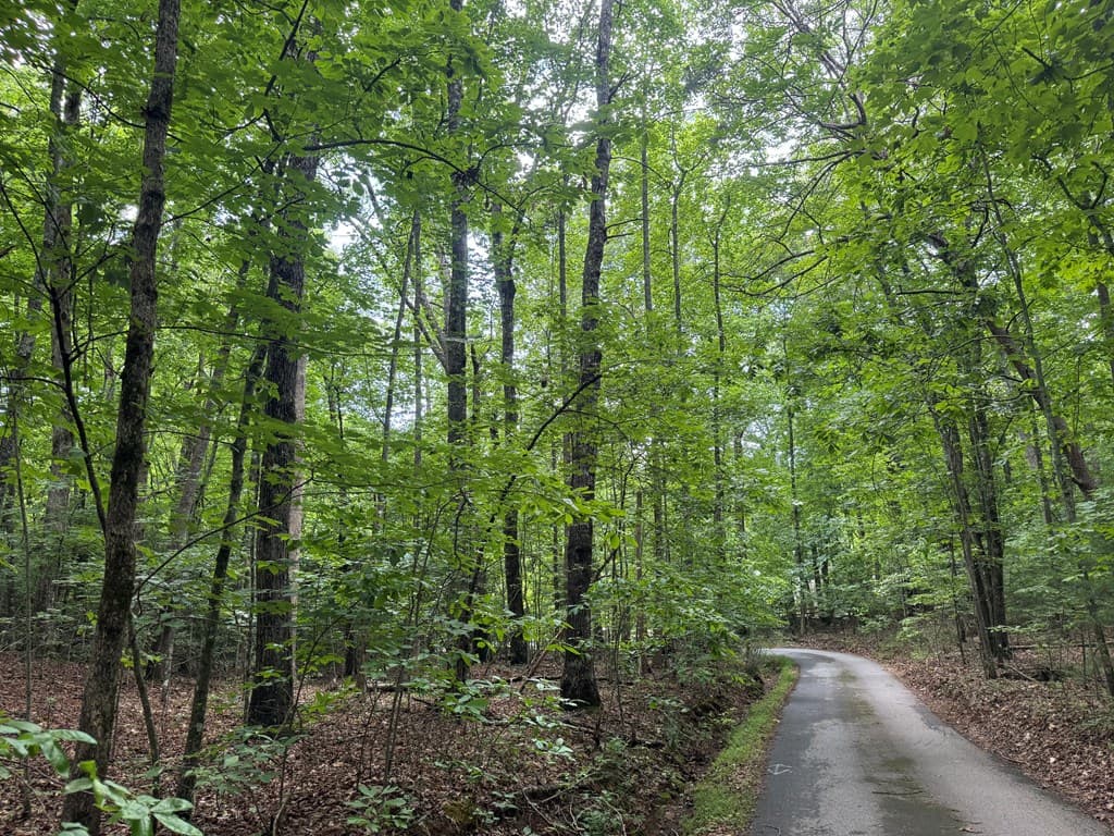 25 Mccracken Cove Road, Hayesville NC 28904 - Photo