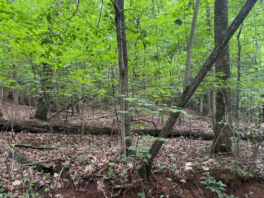 25 Mccracken Cove Road, Hayesville NC 28904 - Photo
