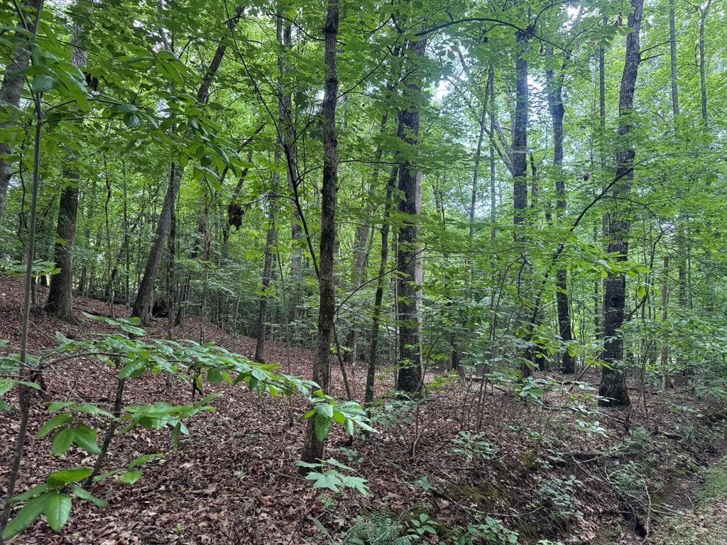 25 Mccracken Cove Road, Hayesville NC 28904 - Primary photo