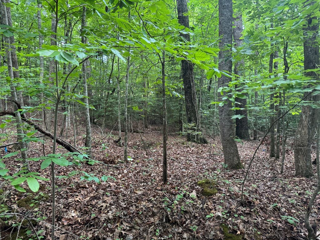 25 Mccracken Cove Road, Hayesville NC 28904 - Photo