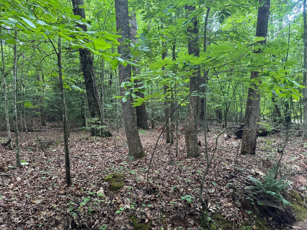25 Mccracken Cove Road, Hayesville NC 28904 - Photo