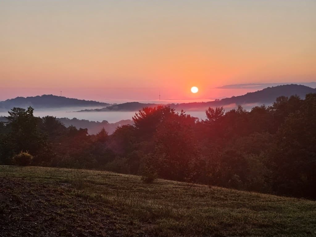 259 Red Bush School Road, Blue Ridge GA 30513 - Photo