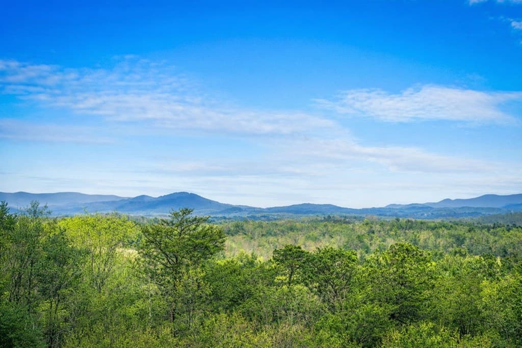 259 Red Bush School Road, Blue Ridge GA 30513 - Photo