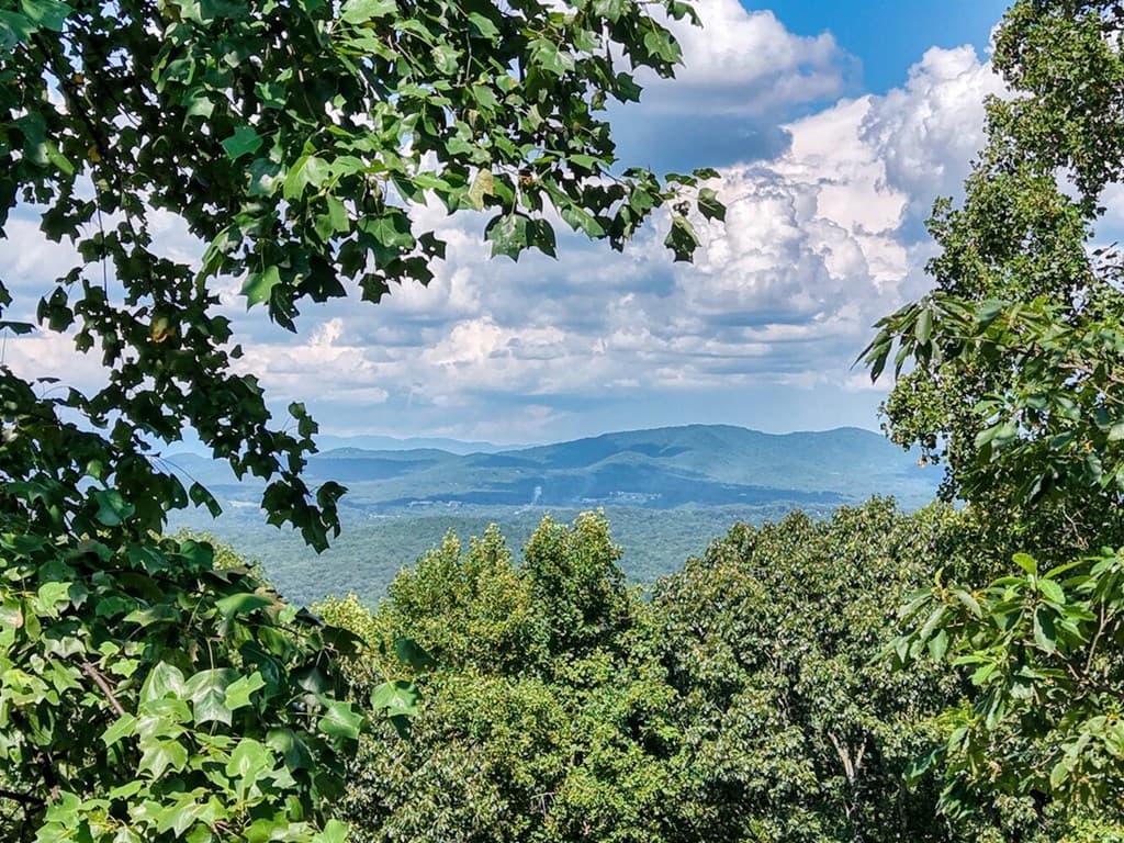 310 Hickory Fork, Blairsville GA 30512 - Photo