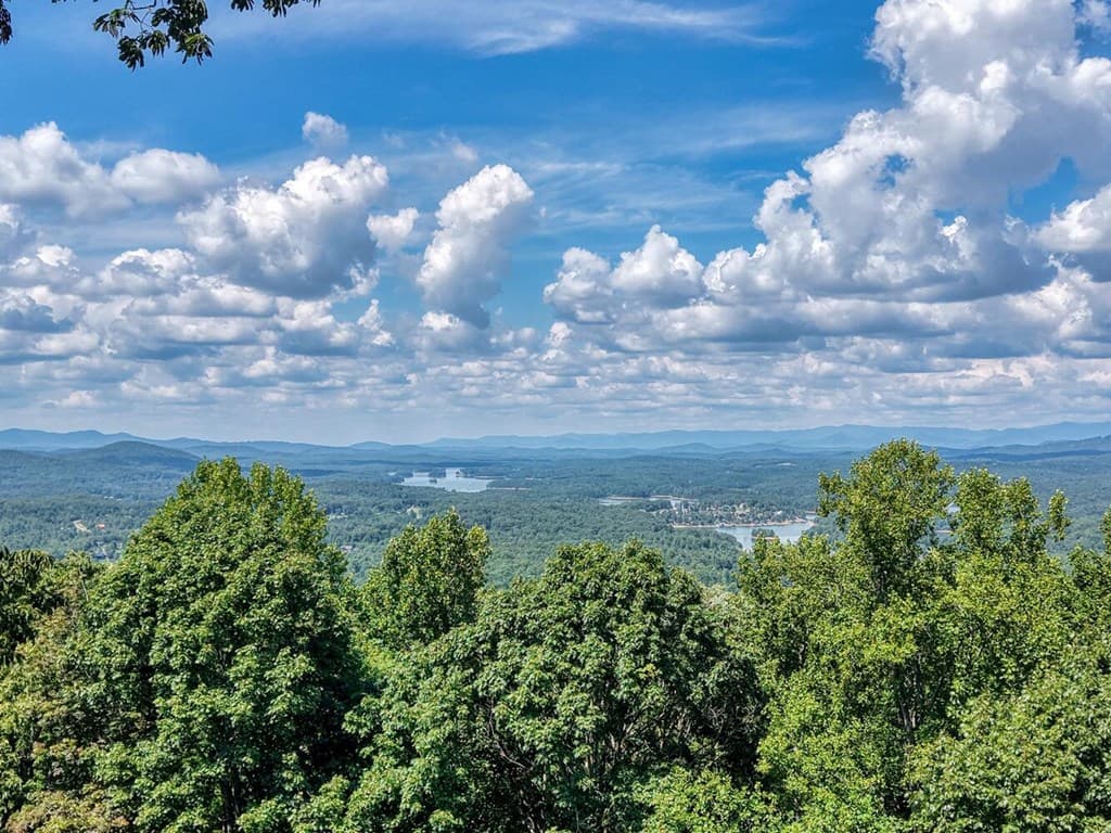 310 Hickory Fork, Blairsville GA 30512 - Photo