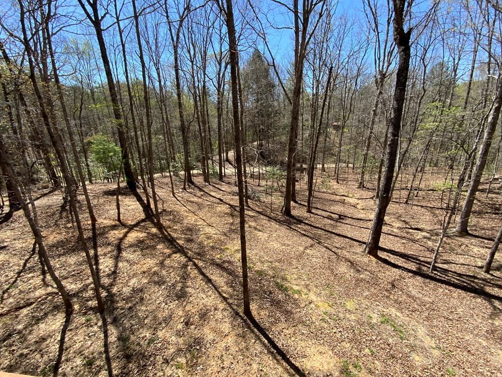 28 Copper Fox Corner, Murphy NC 28906 - Photo