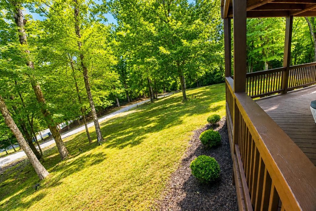 901 Stuart Mountain Road, Mineral Bluff GA 30559 - Photo