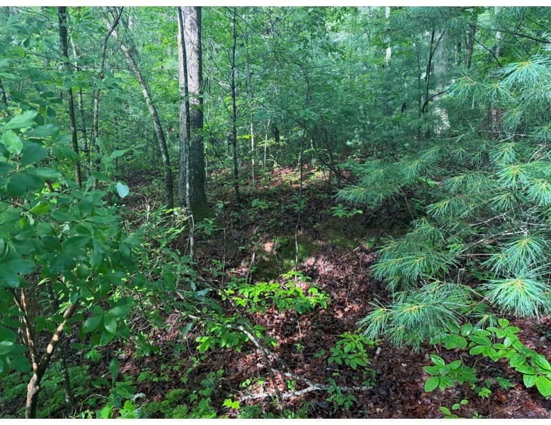 4.1 Ac Charlotte Mountain Road, Ellijay GA 30540 - Photo