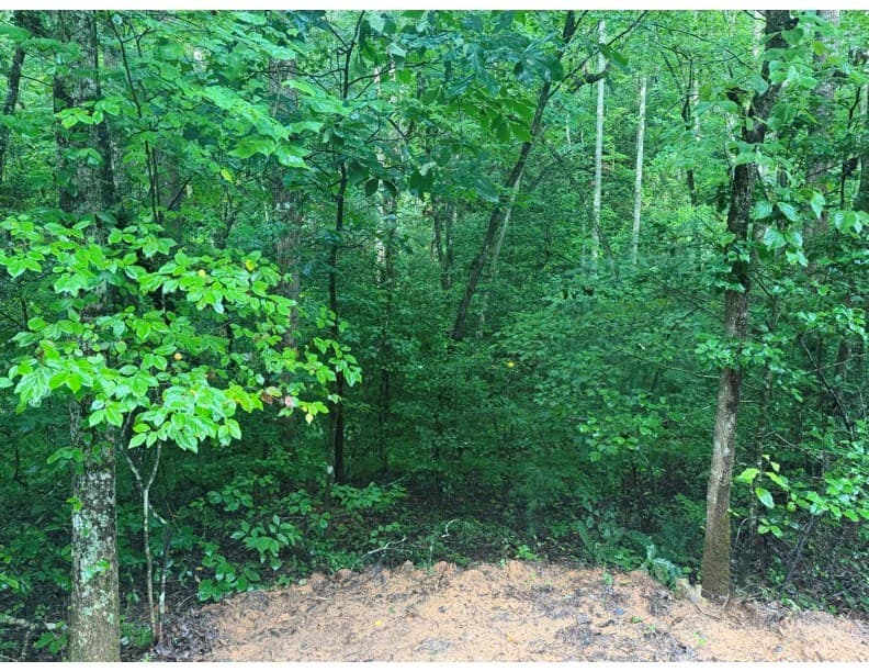 4.1 Ac Charlotte Mountain Road, Ellijay GA 30540 - Photo