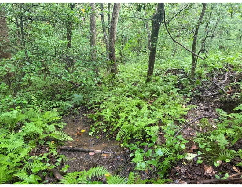 4.1 Ac Charlotte Mountain Road, Ellijay GA 30540 - Photo