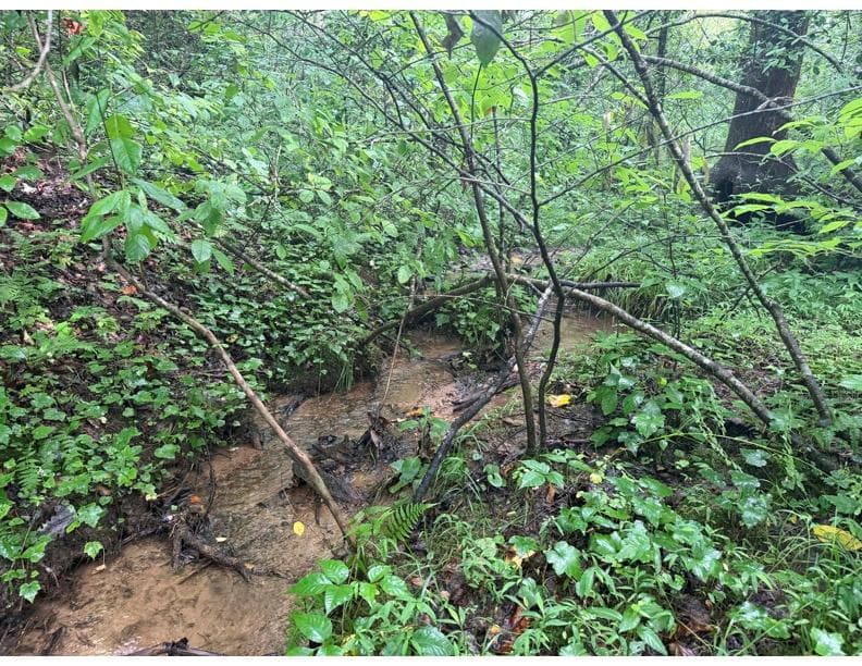 4.1 Ac Charlotte Mountain Road, Ellijay GA 30540 - Primary photo