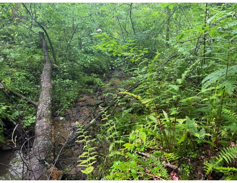 4.1 Ac Charlotte Mountain Road, Ellijay GA 30540 - Photo