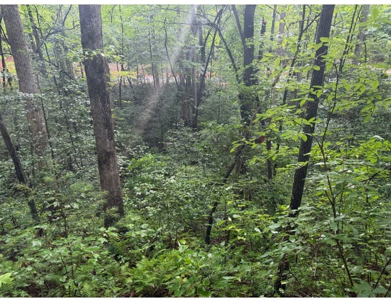 4.1 Ac Charlotte Mountain Road, Ellijay GA 30540 - Photo