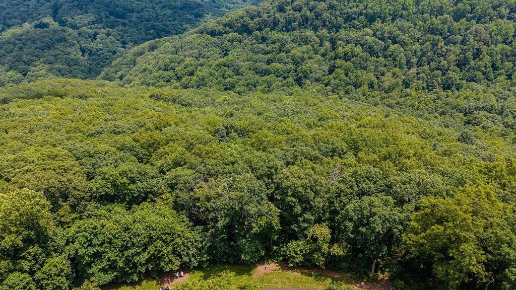 0 Meadow Brook Trail, Morganton GA 30560 - Photo