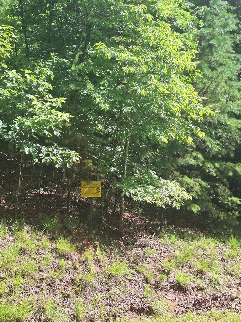 0 Meadow Brook Trail, Morganton GA 30560 - Photo
