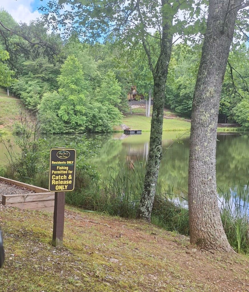 0 Meadow Brook Trail, Morganton GA 30560 - Photo