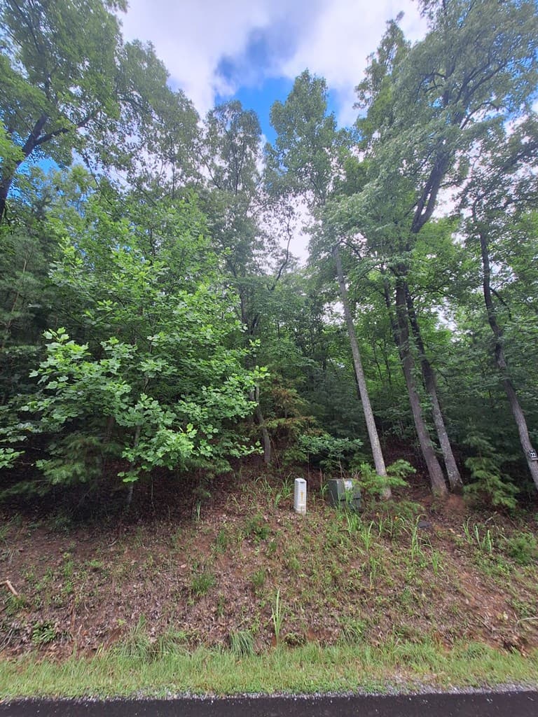 0 Meadow Brook Trail, Morganton GA 30560 - Photo