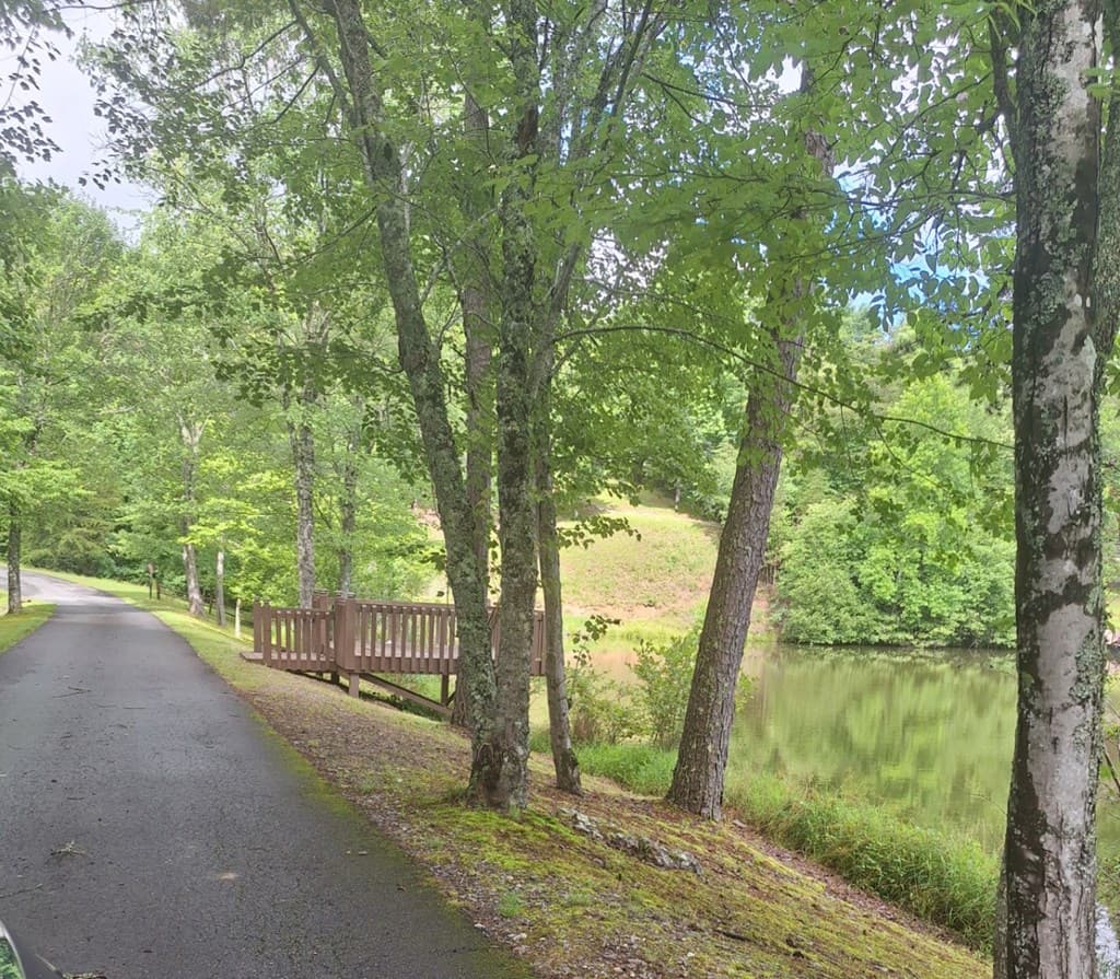 0 Meadow Brook Trail, Morganton GA 30560 - Photo