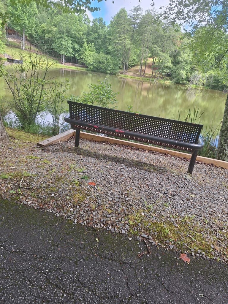 0 Meadow Brook Trail, Morganton GA 30560 - Photo