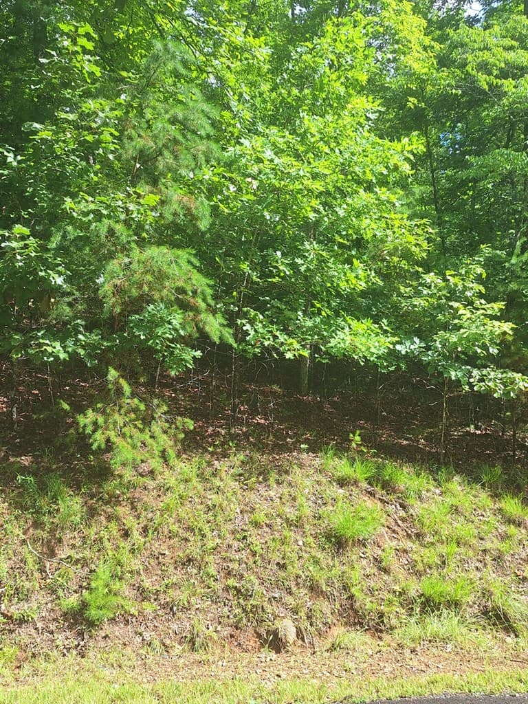 0 Meadow Brook Trail, Morganton GA 30560 - Photo