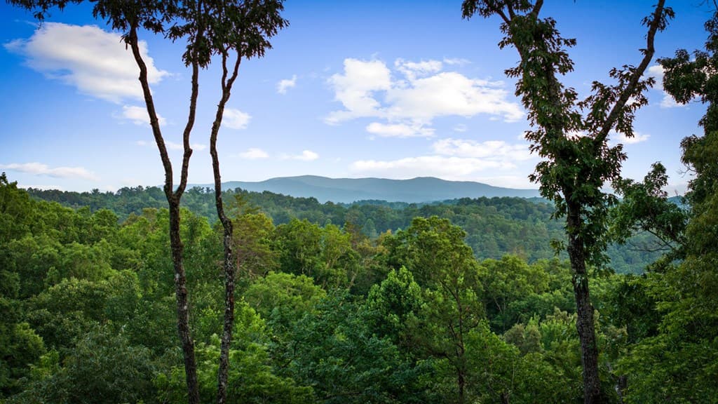 241 Wolf Creek Mountain Road, Mineral Bluff GA 30559 - Photo