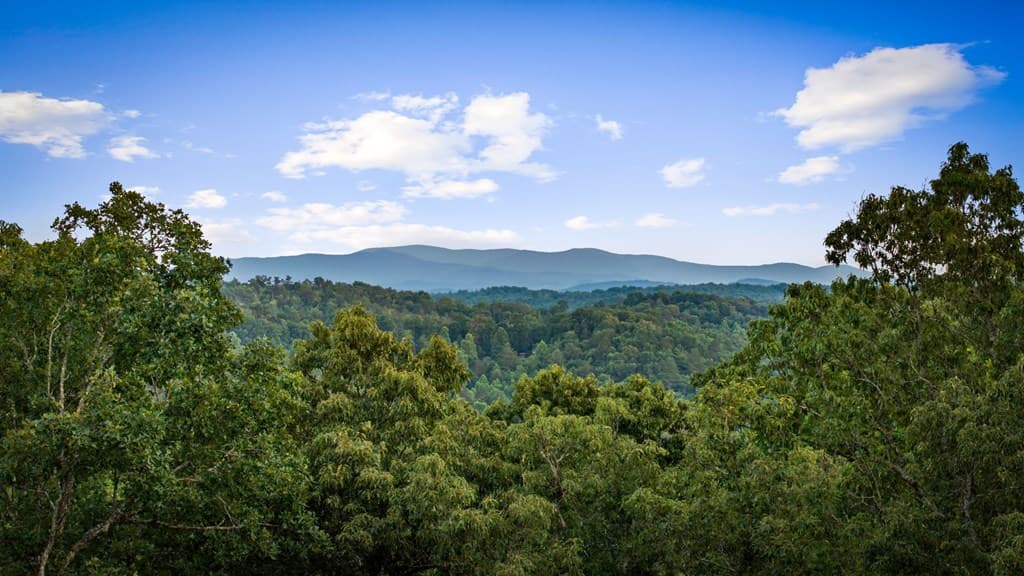 241 Wolf Creek Mountain Road, Mineral Bluff GA 30559 - Photo
