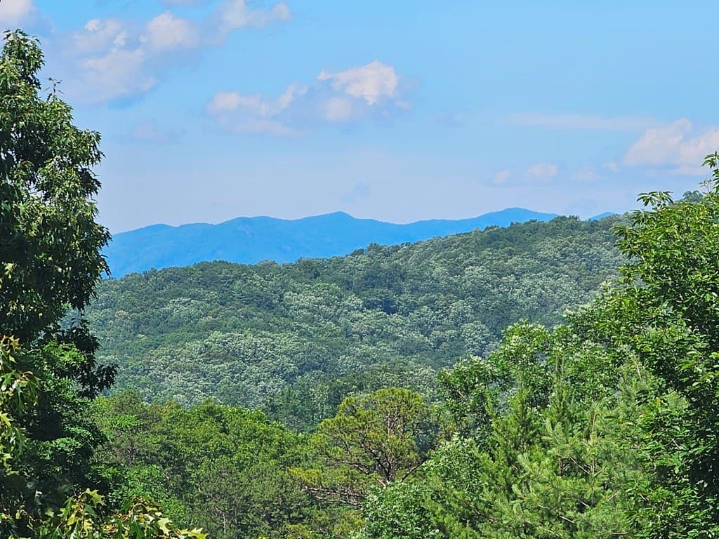 430 Tulip Lane, Murphy NC 28906 - Photo