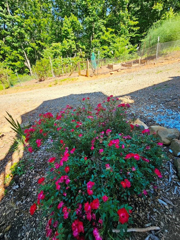 430 Tulip Lane, Murphy NC 28906 - Photo
