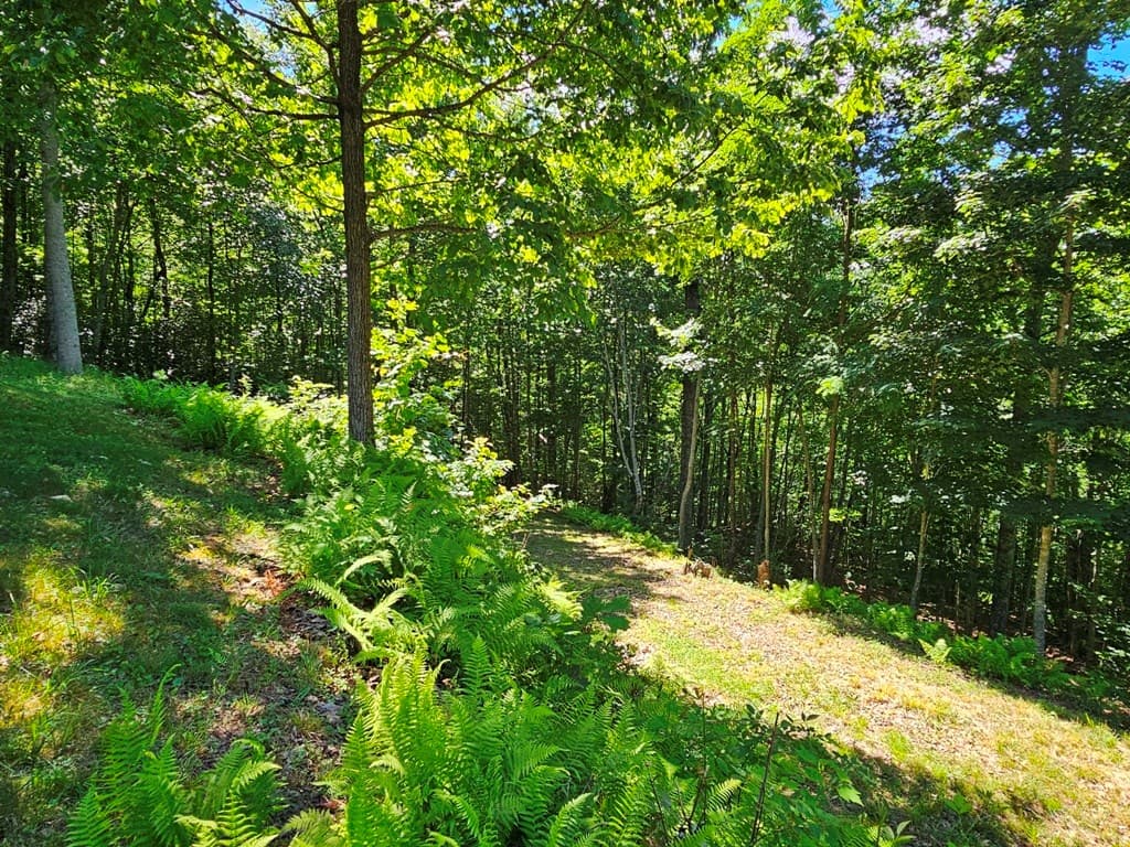 430 Tulip Lane, Murphy NC 28906 - Photo
