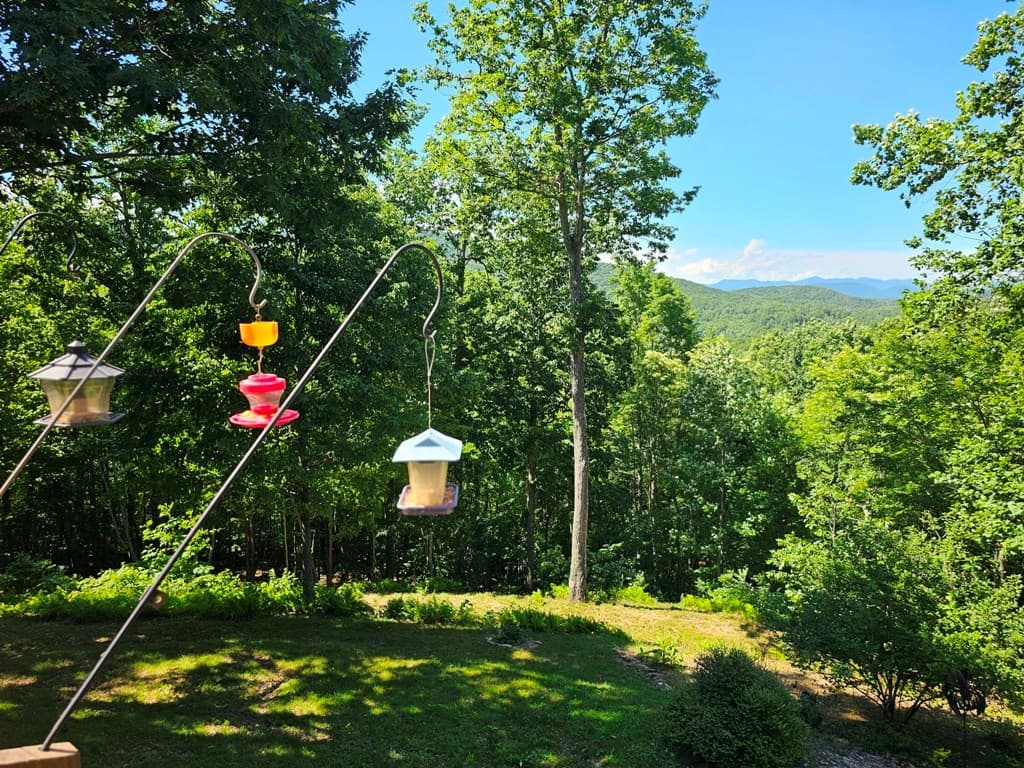 430 Tulip Lane, Murphy NC 28906 - Photo