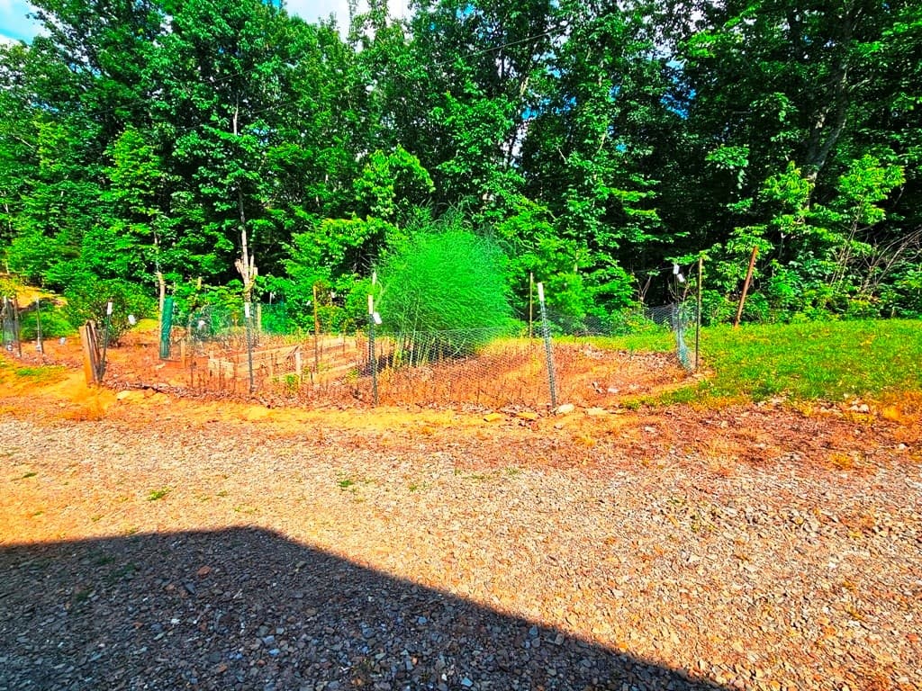 430 Tulip Lane, Murphy NC 28906 - Photo