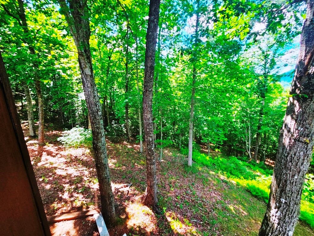 430 Tulip Lane, Murphy NC 28906 - Photo