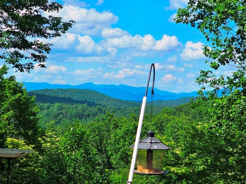 430 Tulip Lane, Murphy NC 28906 - Photo
