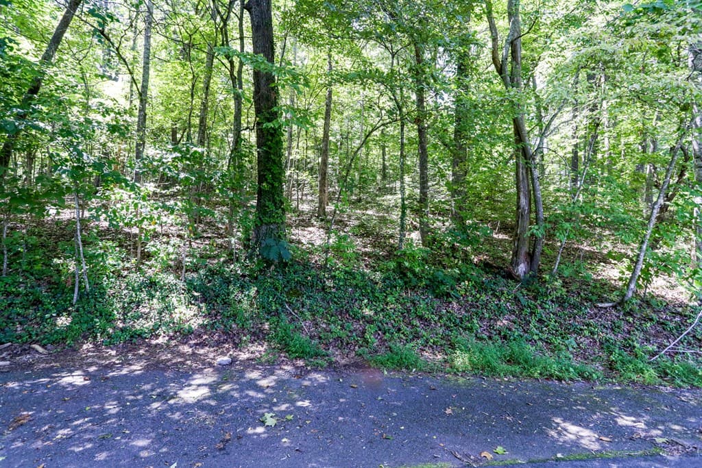 Lot 6A Kilpatrick Point, Hayesville NC 28904 - Photo