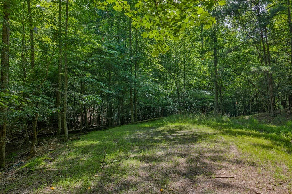Lot 2800 Medina Court, Ellijay GA 30540 - Photo
