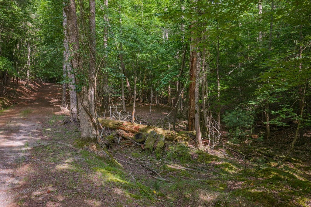 Lot 2800 Medina Court, Ellijay GA 30540 - Photo