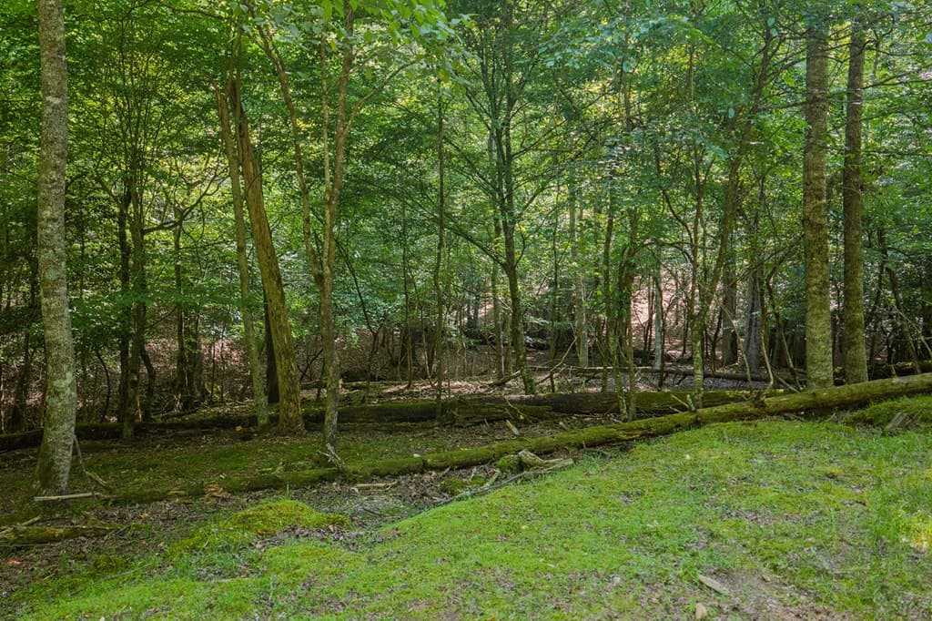 Lot 2800 Medina Court, Ellijay GA 30540 - Photo