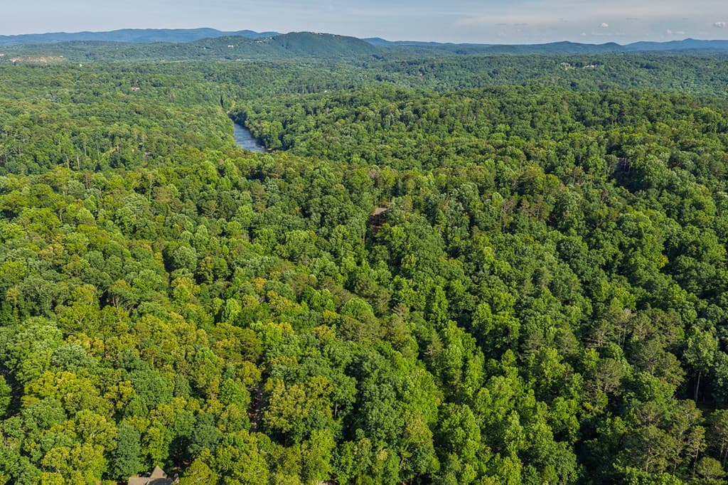 Lot 2800 Medina Court, Ellijay GA 30540 - Photo
