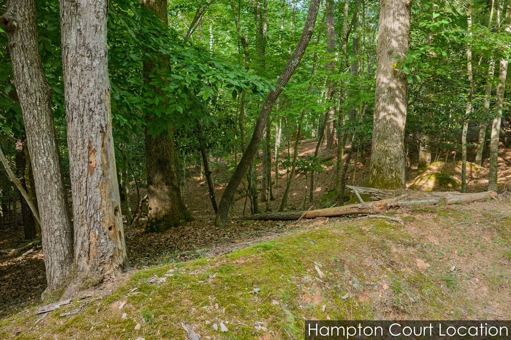 Lot 2800 Medina Court, Ellijay GA 30540 - Photo