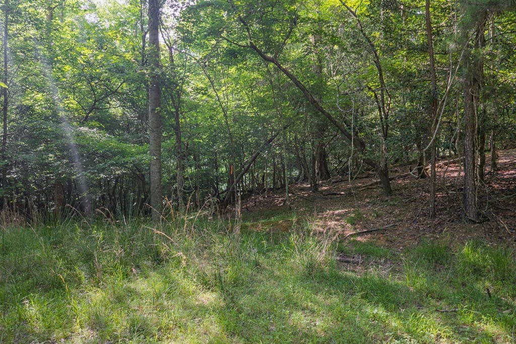 Lot 2800 Medina Court, Ellijay GA 30540 - Photo