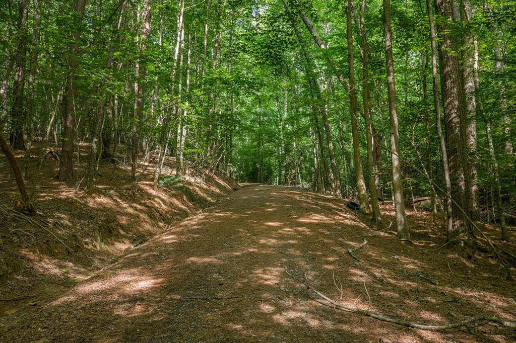 Lot 2800 Medina Court, Ellijay GA 30540 - Photo