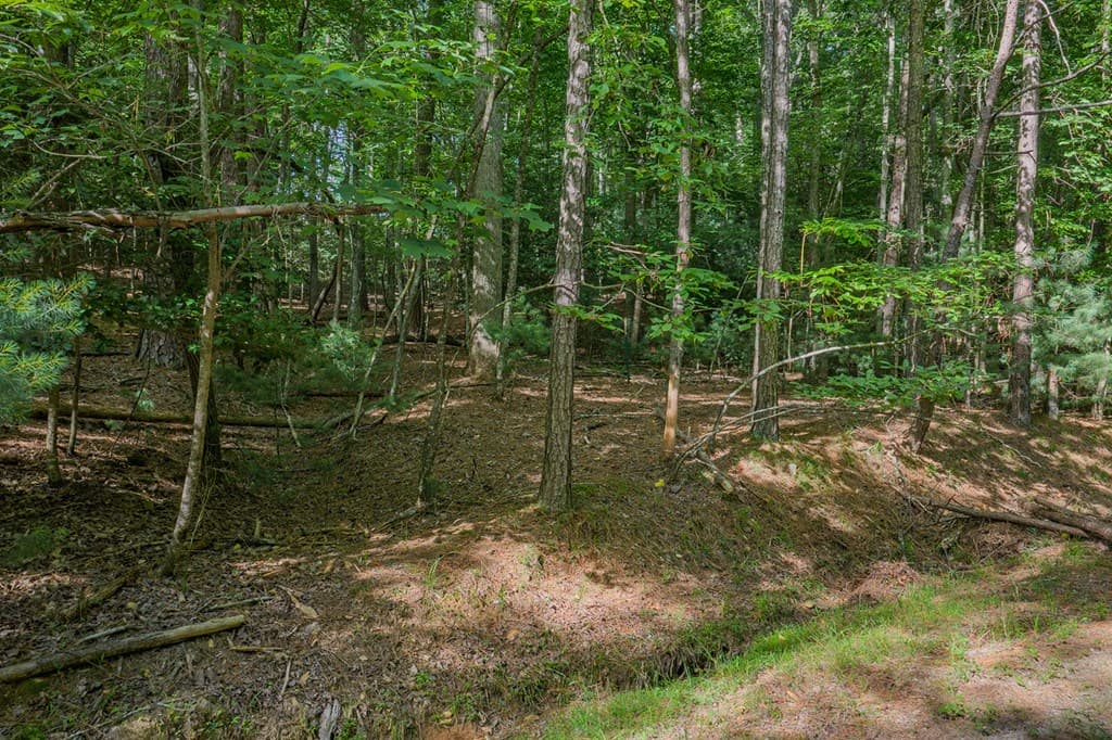 Lot 2800 Medina Court, Ellijay GA 30540 - Photo