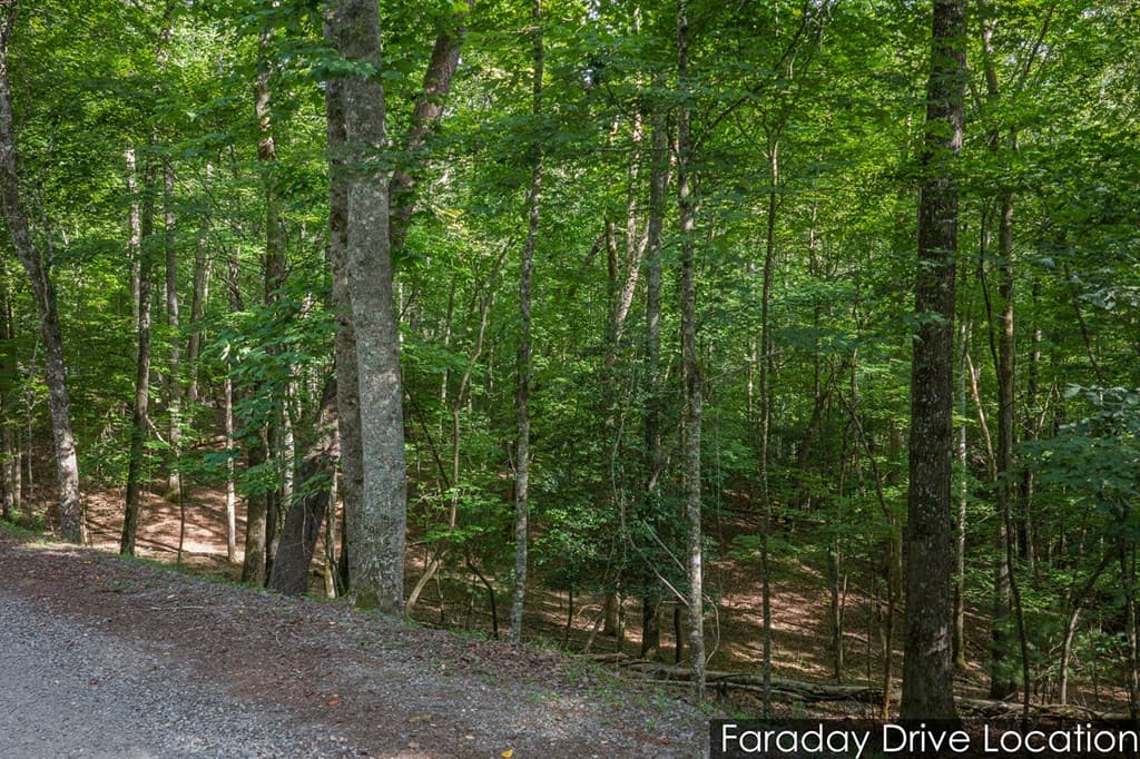 Lot 2800 Medina Court, Ellijay GA 30540 - Photo